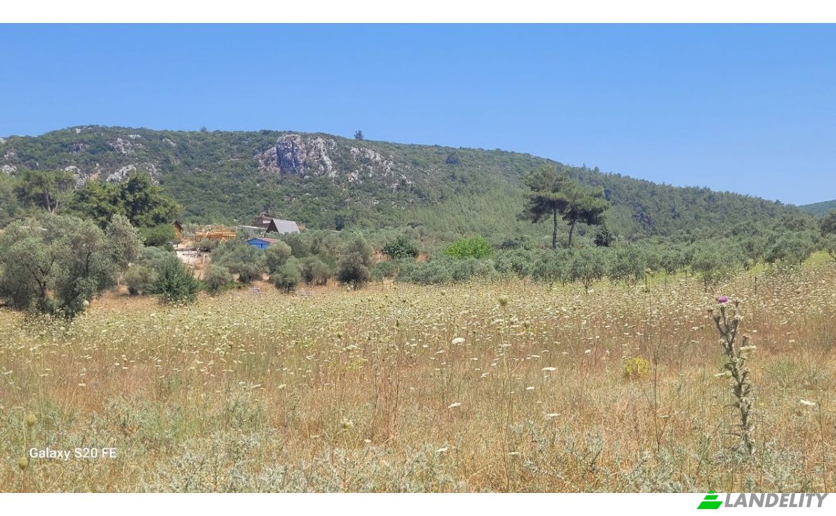 Investing/Development for Sale Cile, Ova Sk, 35470 Menderes Izmir, Menderes Izmir, Menderes, Izmir, Turkiye. Photo 15