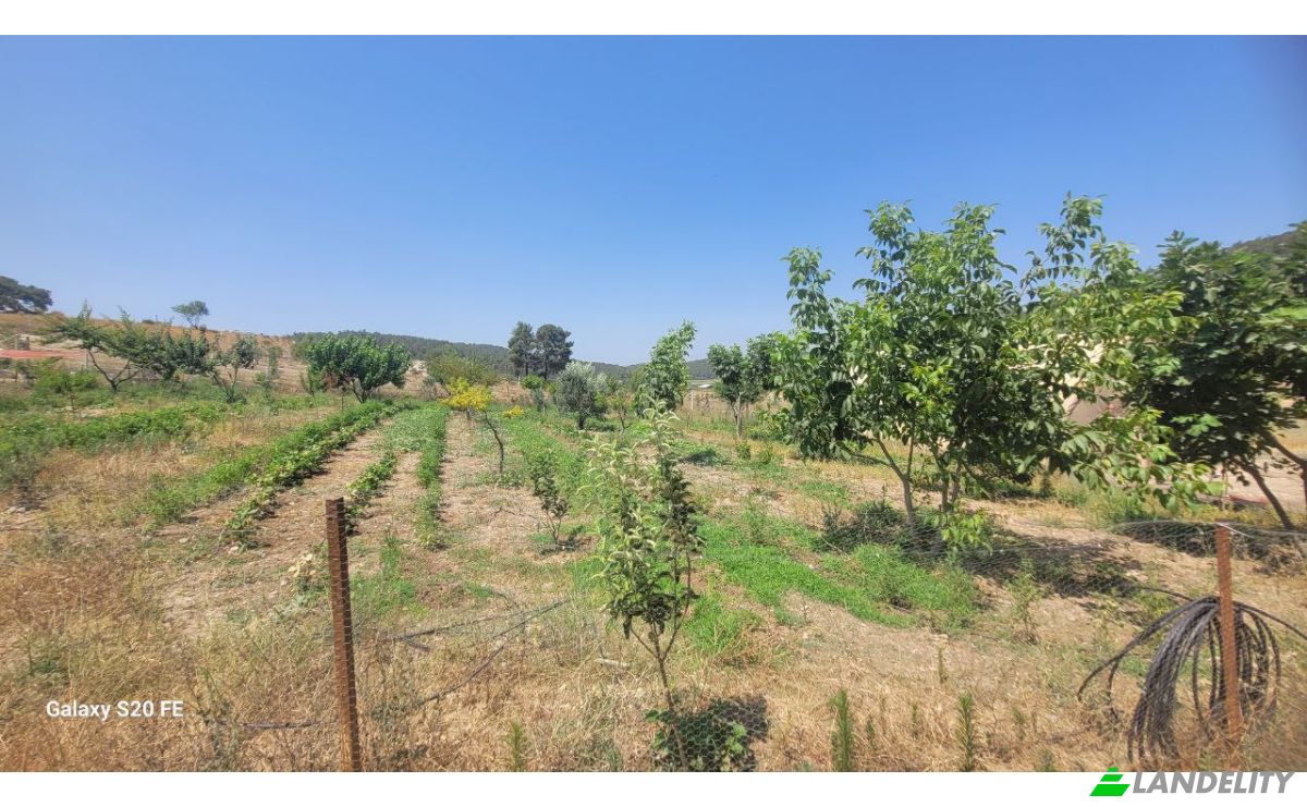 Investing/Development for Sale Cile, Ova Sk, 35470 Menderes Izmir, Menderes Izmir, Menderes, Izmir, Turkiye. Photo 12