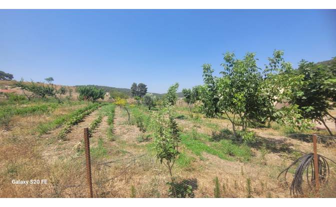 Investing/Development for Sale Cile, Ova Sk. Photo#12