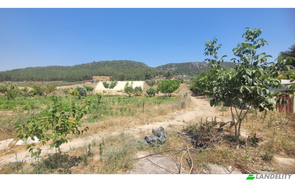 Investing/Development for Sale Cile, Ova Sk, 35470 Menderes Izmir, Menderes Izmir, Menderes, Izmir, Turkiye. Photo 13