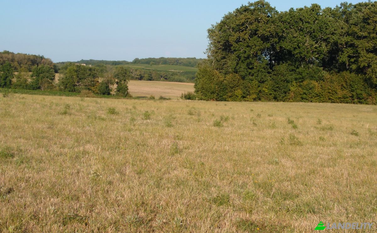 Farm/Ranch for Sale 52 A Laboissiere, 47120 Soumensac, Soumensac, Lot-et-Garonne, Nouvelle-Aquitaine, France. Photo 7