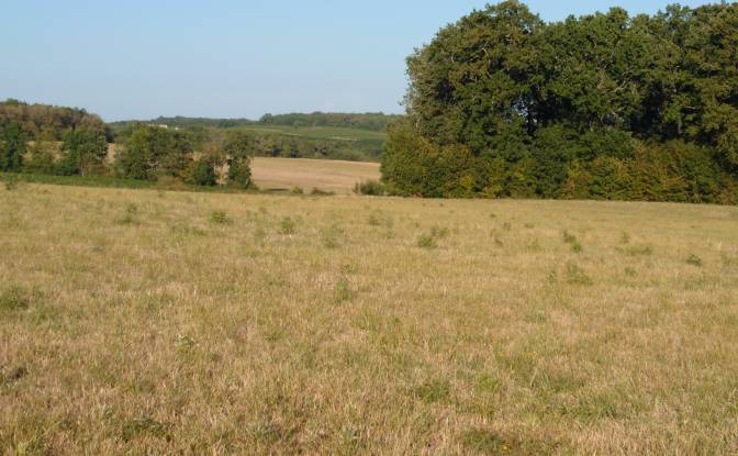 Farm/Ranch for Sale 52 A Laboissiere. Photo#7 Farm/Ranch for Sale 52 A Laboissiere. Photo#7