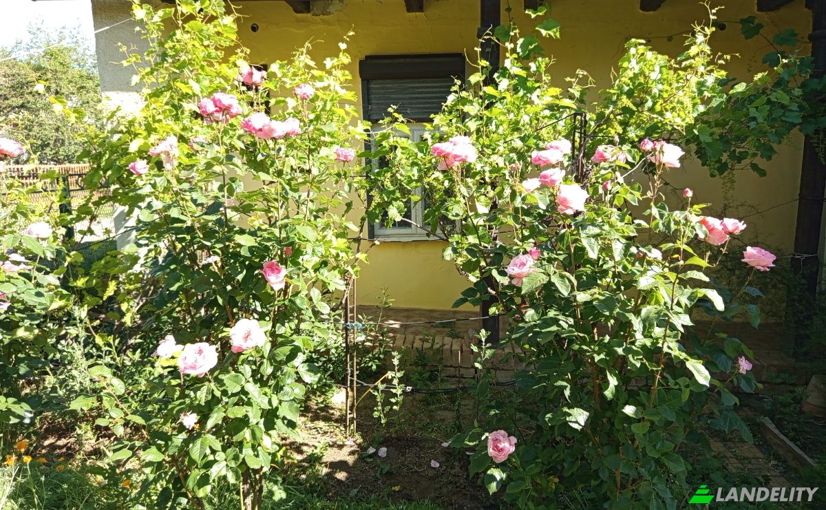 Single Family Home for Sale Somogyegres, Tab District, Somogy County, Hungary, Petofi Sandor u 8, 8666 Hungary. Photo 11