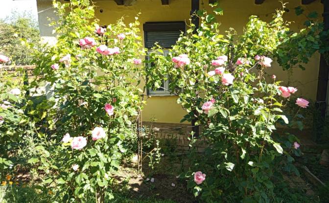 Single Family Home for Sale Somogyegres. Photo#11 Single Family Home for Sale Somogyegres. Photo#11