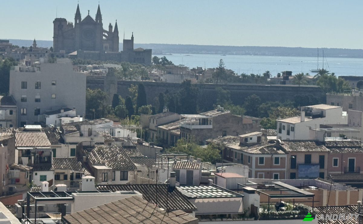 Apartment for Sale Carrer de Cotoner, Ponent, Palma, Illes Balears, Balearic Islands, Spain. Photo 14