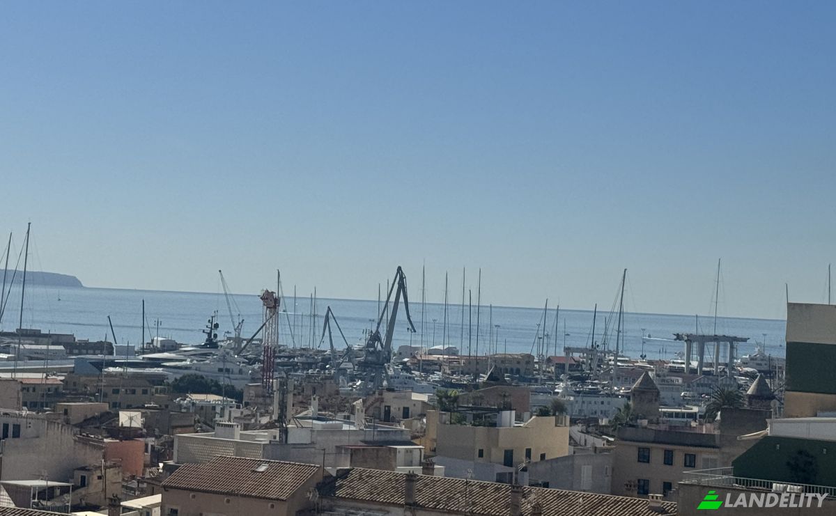 Apartment for Sale Carrer de Cotoner, Ponent, Palma, Illes Balears, Balearic Islands, Spain. Photo 15