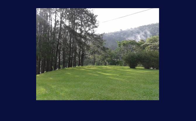 Granja/Rancho en venta R Harry Bertel, 312, Penedo. Foto#2 Granja/Rancho en venta R Harry Bertel, 312, Penedo. Foto#2