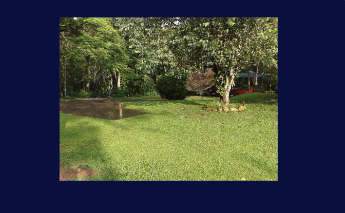 Granja/Rancho en venta R Harry Bertel, 312, Penedo. Foto#3 Granja/Rancho en venta R Harry Bertel, 312, Penedo. Foto#3
