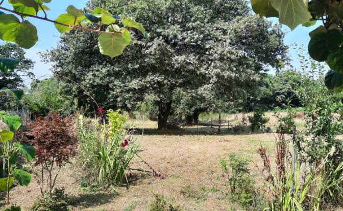 Grondperceel Te koop 4 Quenicouche, 56450 Surzur. Foto#19