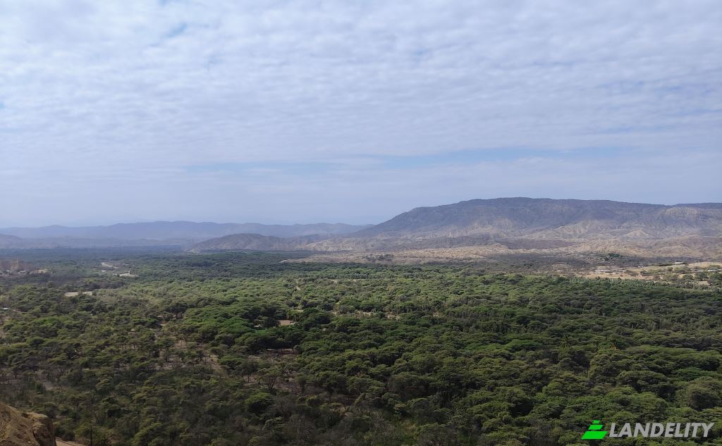 Lote de terreno en venta Carr Barrancos, 24560, Barrancos, Contralmirante Villar, Tumbes, Perú. Foto 3