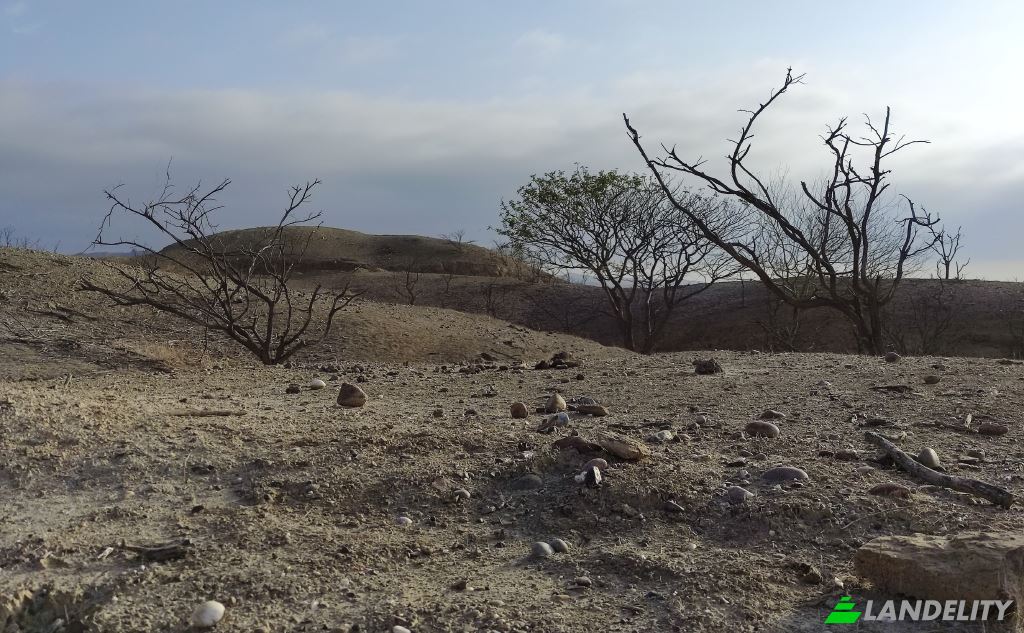 Lote de terreno en venta Carr Barrancos, 24560, Barrancos, Contralmirante Villar, Tumbes, Perú. Foto 13