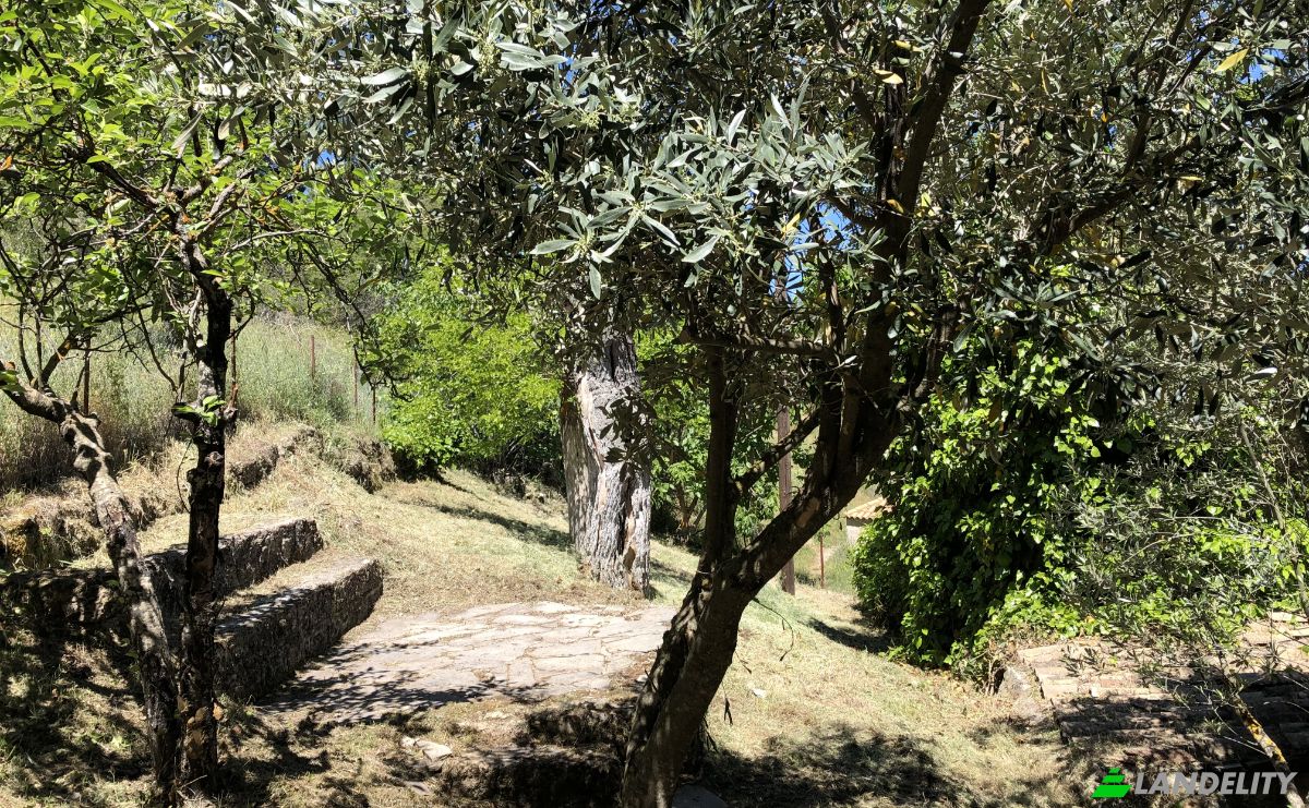 Single Family Home for Sale dos xoris onomasia, Porovitsa, Western Greece, Decentralized Administration of Peloponnese, Western Greece and the Ionian, Greece. Photo 11