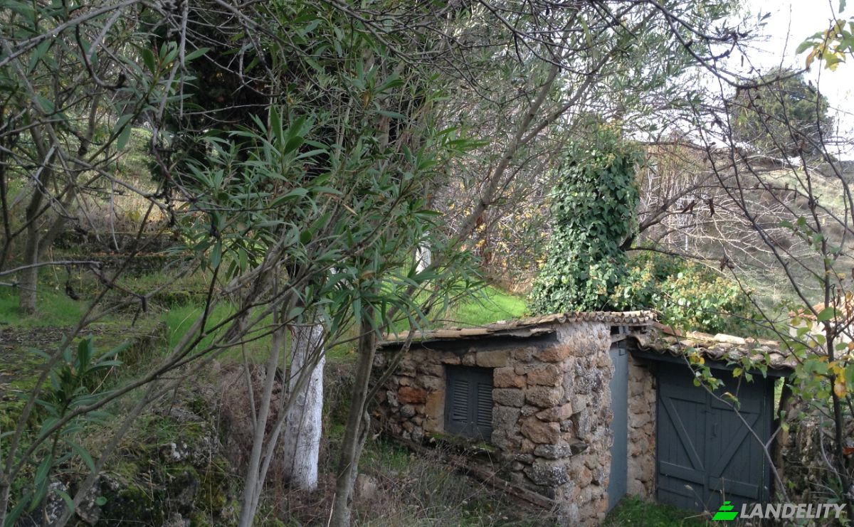Single Family Home for Sale dos xoris onomasia, Porovitsa, Western Greece, Decentralized Administration of Peloponnese, Western Greece and the Ionian, Greece. Photo 13
