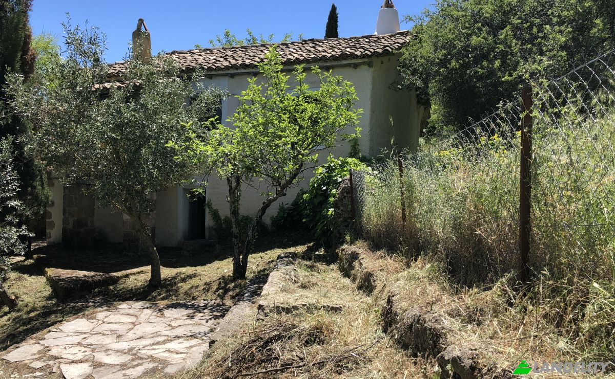 Single Family Home for Sale dos xoris onomasia, Porovitsa, Western Greece, Decentralized Administration of Peloponnese, Western Greece and the Ionian, Greece. Photo 14