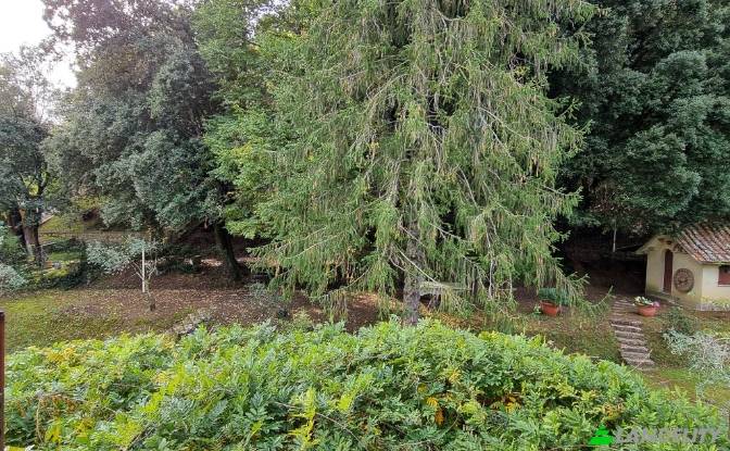 Single Family Home for Sale Via Martiri della. Photo#8