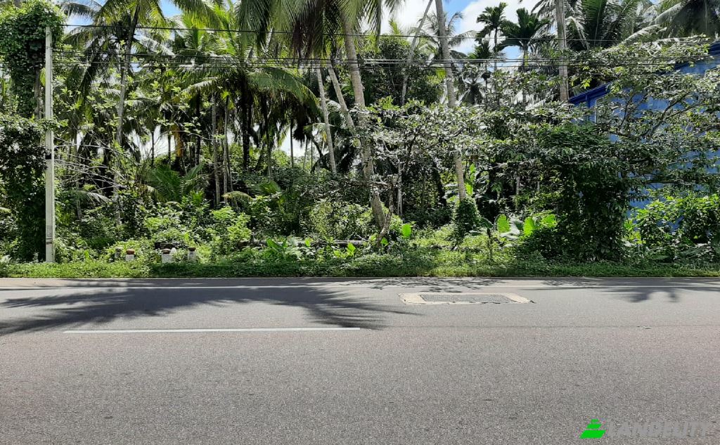 Land Lot for Sale Kotapitiya, Dharga Town, Kalutara, Western Province, Sri Lanka. Photo 2