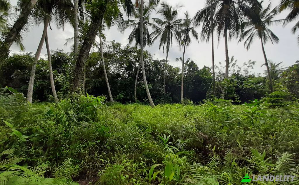 Land Lot for Sale Kotapitiya, Dharga Town, Kalutara, Western Province, Sri Lanka. Photo 3