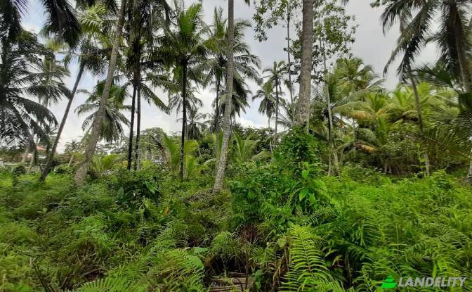 Land Lot for Sale Kotapitiya, Dharga Town. Photo#4