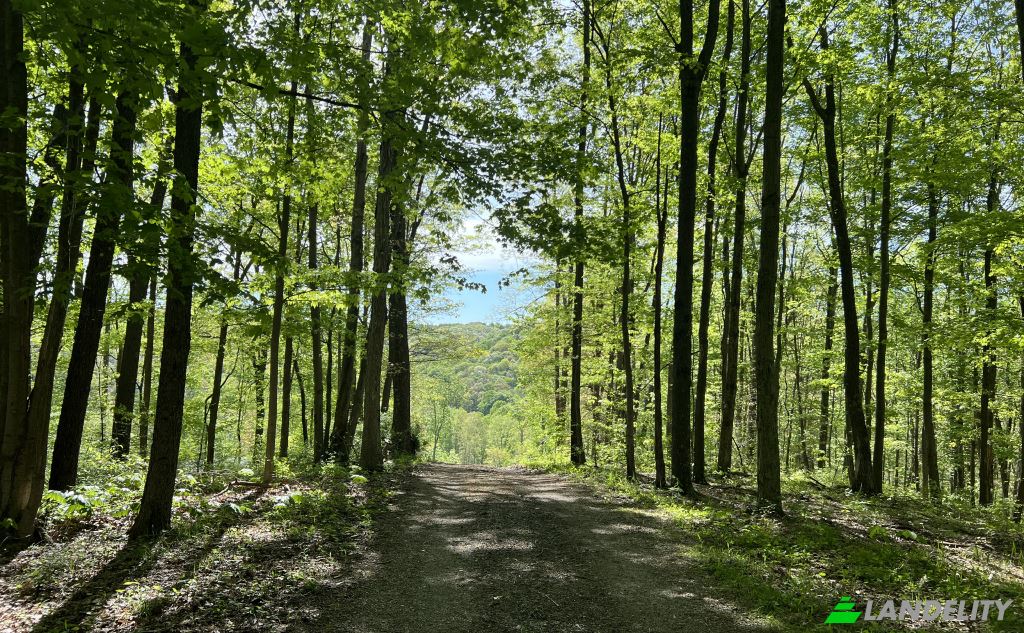 Land Lot for Sale 23250 Brown Rd, South Bloomingville, OH 43152, USA, BLOOMINGVIL, Hocking County, Ohio, United States. Photo 4