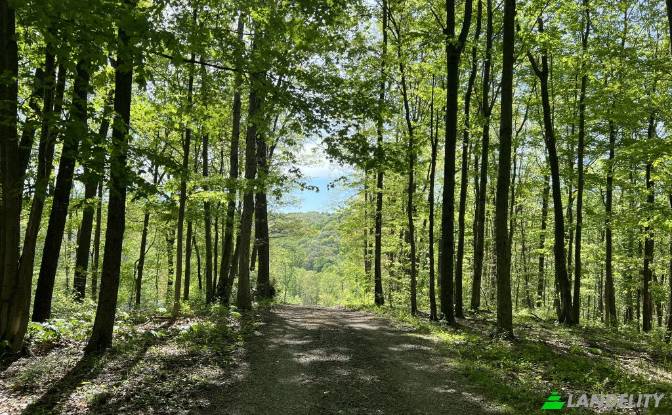 Land Lot for Sale 23250 Brown Rd. Photo#4