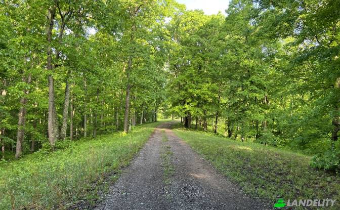 Land Lot for Sale 23250 Brown Rd. Photo#5