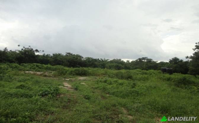 Land Lot Rentals - Otokutu, Nigeria