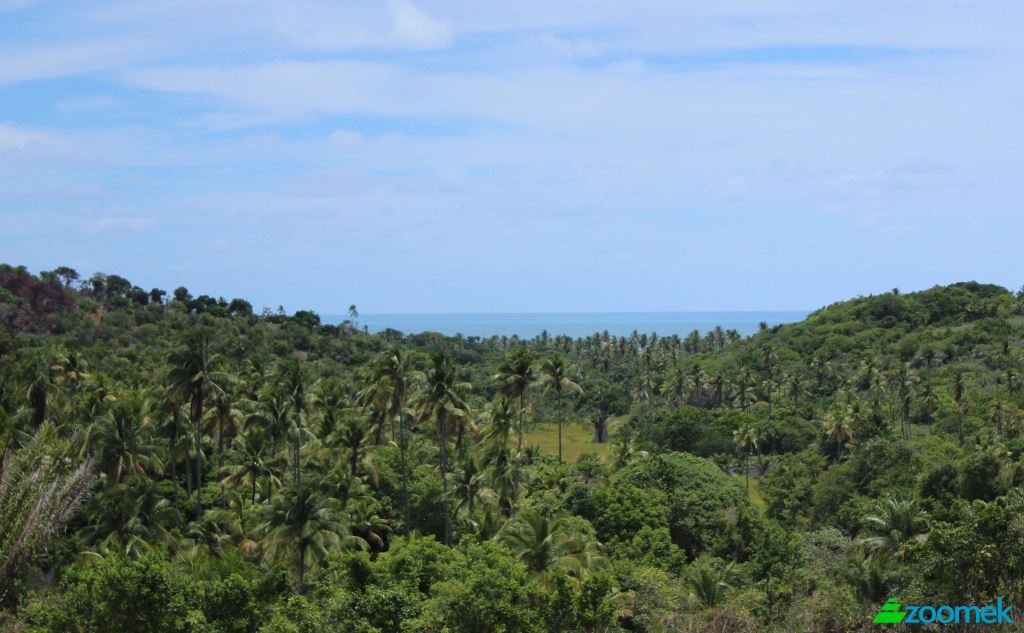 Lot de terrain à vendre Barreiros, State of Pernambuco, Brazil, 55560. Photo 2