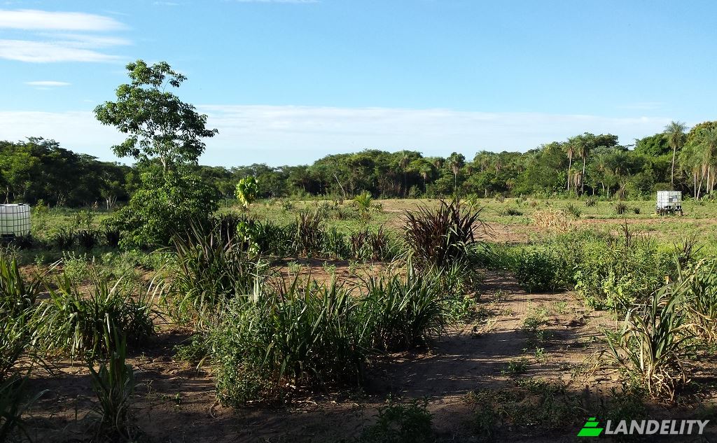 Land Lot for Sale Via sin nombre, Mbokajaty, Escobar, Paraguari Department, Paraguay. Photo 10