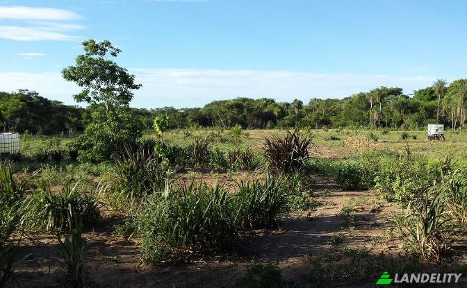 Land Lot for Sale Via sin nombre, Mbokajaty. Photo#10