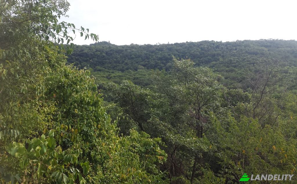 Land Lot for Sale Via sin nombre, Mbokajaty, Escobar, Paraguari Department, Paraguay. Photo 4