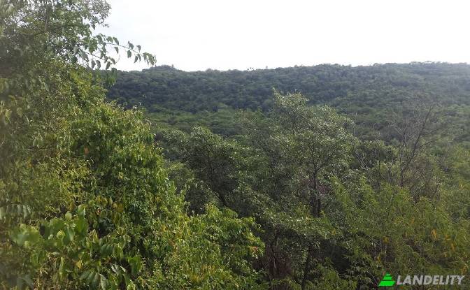 Land Lot for Sale Via sin nombre, Mbokajaty. Photo#4