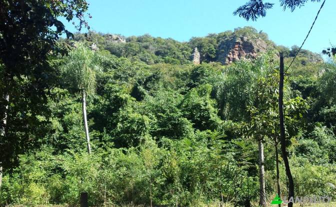 Land Lot for Sale Via sin nombre, Mbokajaty. Photo#5