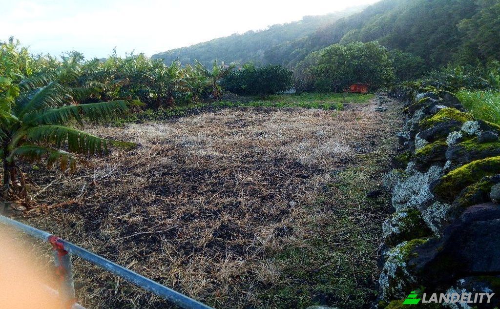 Land Lot for Sale Rua do Canto, Terra Alta, Sao Roque do Pico, Azores, Portugal. Photo 8