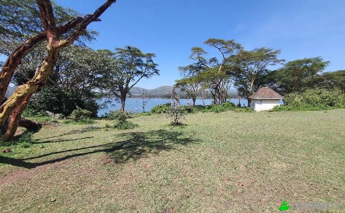 Farm/Ranch for Sale Tarambete, Kasarani, Naivasha. Photo#12 Farm/Ranch for Sale Tarambete, Kasarani, Naivasha. Photo#12