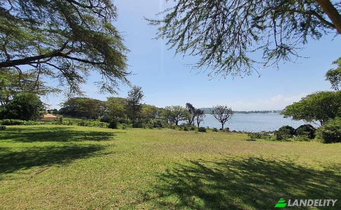Farm/Ranch for Sale Tarambete, Kasarani, Naivasha. Photo#6 Farm/Ranch for Sale Tarambete, Kasarani, Naivasha. Photo#6