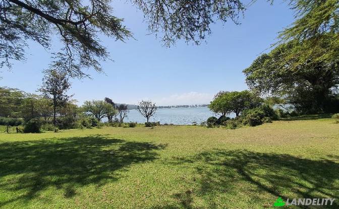 Farm/Ranch for Sale Tarambete, Kasarani, Naivasha. Photo#7 Farm/Ranch for Sale Tarambete, Kasarani, Naivasha. Photo#7