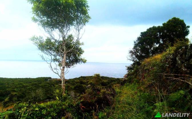 Single Family Home for Sale Feteira, Lajes do Pico. Photo#6