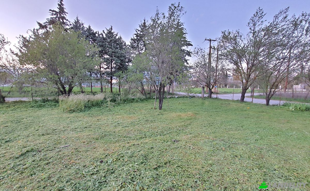 Land Lot for Sale Odissea Eliti, Nikea, Nikaia, Thessalia, Decentralized Administration of Thessaly and Central Greece, Greece. Photo 11