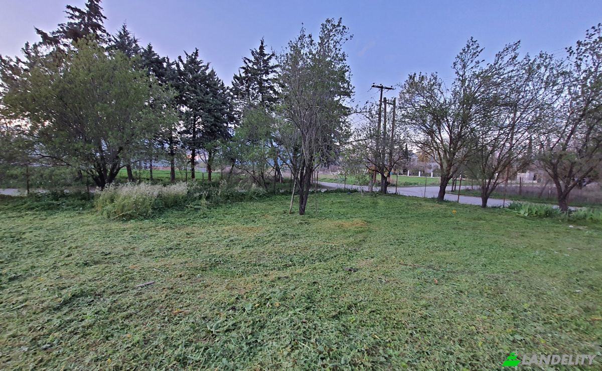 Land Lot for Sale Odissea Eliti, Nikea, Nikaia, Thessalia, Decentralized Administration of Thessaly and Central Greece, Greece. Photo 14