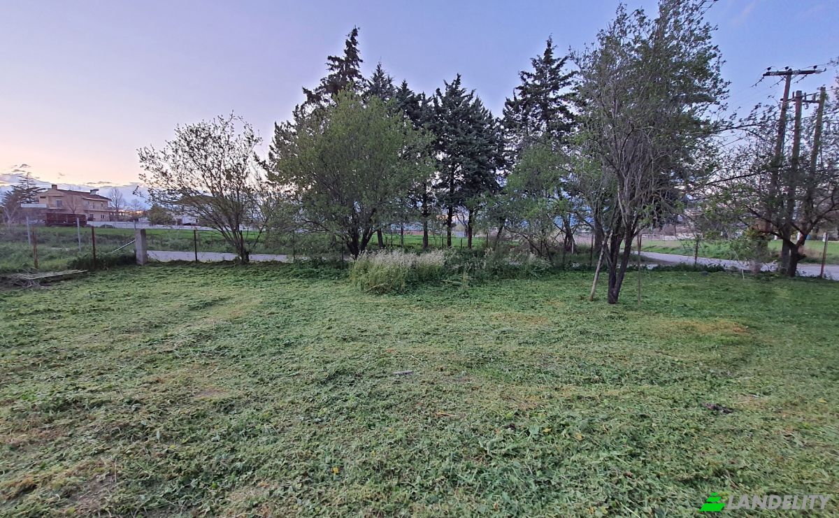 Land Lot for Sale Odissea Eliti, Nikea, Nikaia, Thessalia, Decentralized Administration of Thessaly and Central Greece, Greece. Photo 15