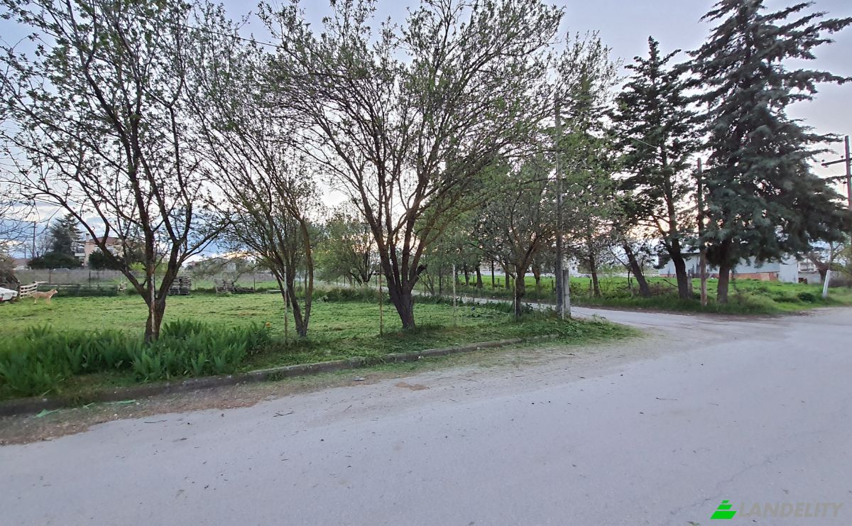 Land Lot for Sale Odissea Eliti, Nikea, Nikaia, Thessalia, Decentralized Administration of Thessaly and Central Greece, Greece. Photo 19