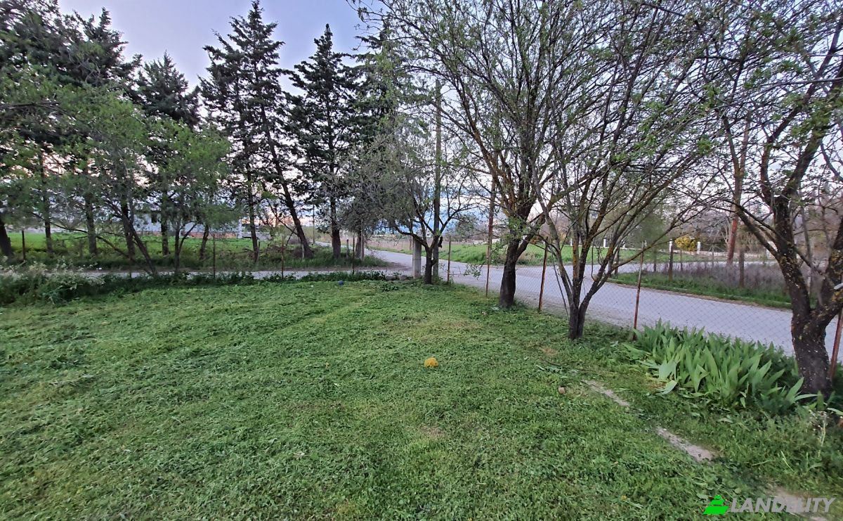 Land Lot for Sale Odissea Eliti, Nikea, Nikaia, Thessalia, Decentralized Administration of Thessaly and Central Greece, Greece. Photo 6