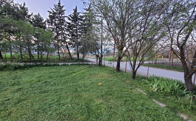 Land Lot for Sale Odissea Eliti, Nikea, Nikaia. Photo#6 Land Lot for Sale Odissea Eliti, Nikea, Nikaia. Photo#6