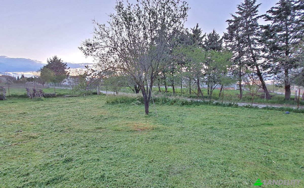 Land Lot for Sale Odissea Eliti, Nikea, Nikaia, Thessalia, Decentralized Administration of Thessaly and Central Greece, Greece. Photo 7