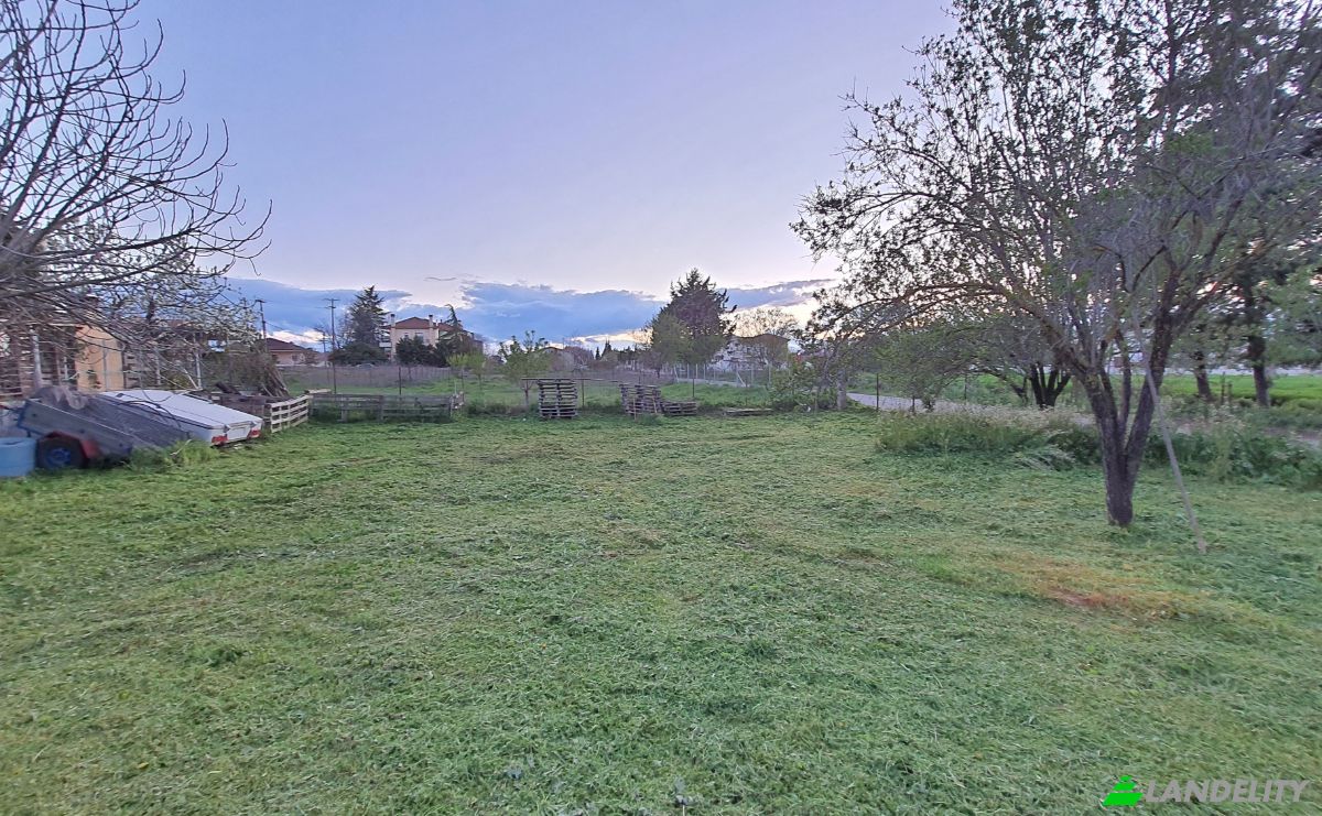 Land Lot for Sale Odissea Eliti, Nikea, Nikaia, Thessalia, Decentralized Administration of Thessaly and Central Greece, Greece. Photo 8