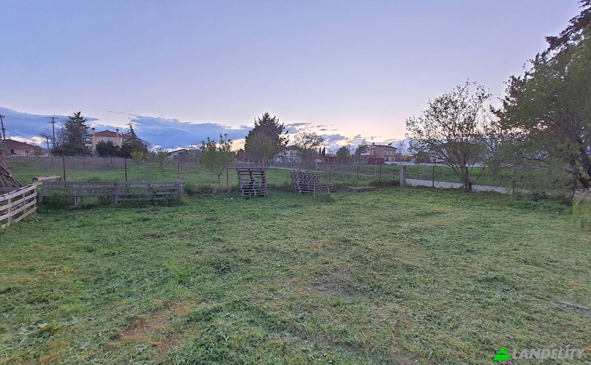 Land Lot for Sale Odissea Eliti, Nikea, Nikaia, Thessalia, Decentralized Administration of Thessaly and Central Greece, Greece. Photo 2