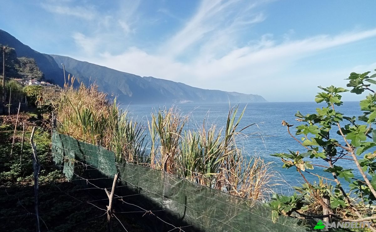 Dom jednorodzinny na sprzedaż Est Antonio de Carvalhal, Ponta Delgada, Sao Vicente, Madeira, Portugal. Zdjęcie 2