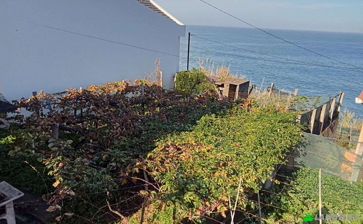 Dom jednorodzinny na sprzedaż Est Antonio de Carvalhal, Ponta Delgada, Sao Vicente, Madeira, Portugal. Zdjęcie 6