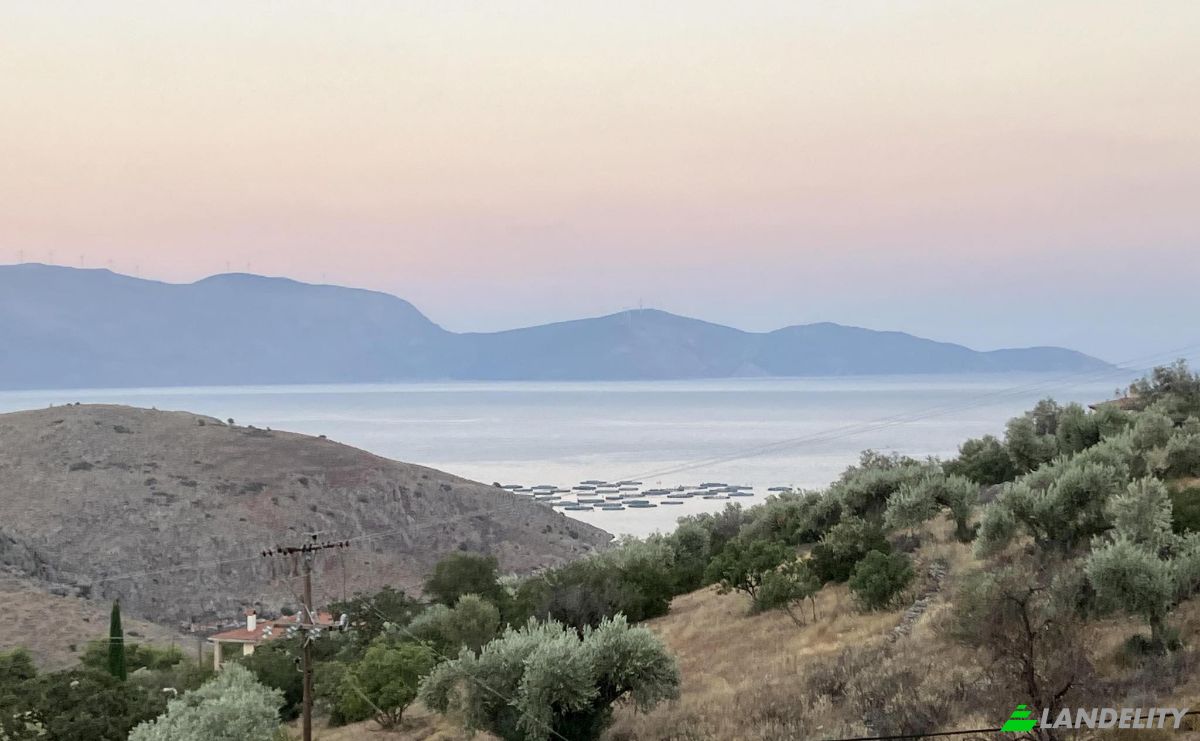 Single Family Home for Sale Delfi, Galaxidi, Central Greece, Decentralized Administration of Thessaly and Central Greece, Greece. Photo 4
