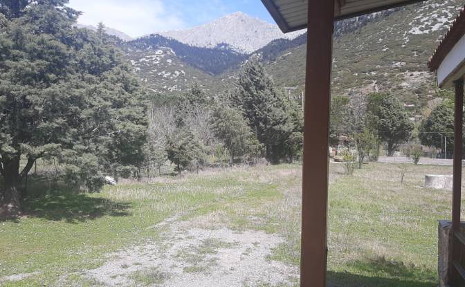Single Family Home for Sale EO Livadias Amfissas. Photo#5